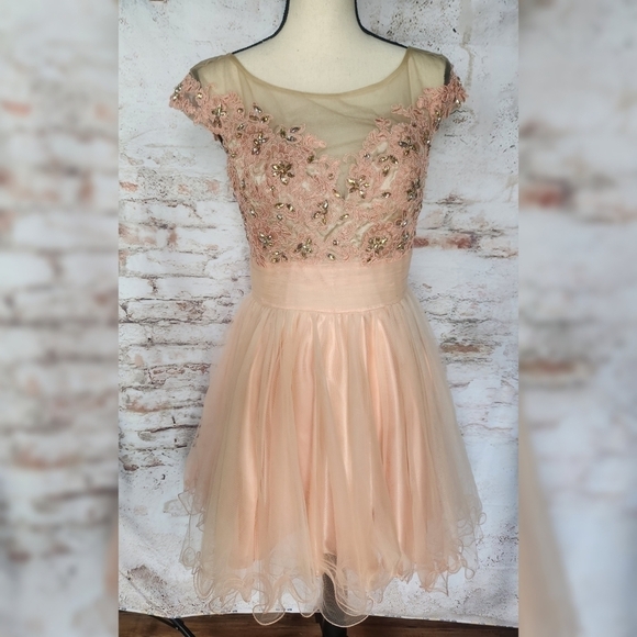 Alyce Paris Dresses & Skirts - Alyce Paris Dress sz 6